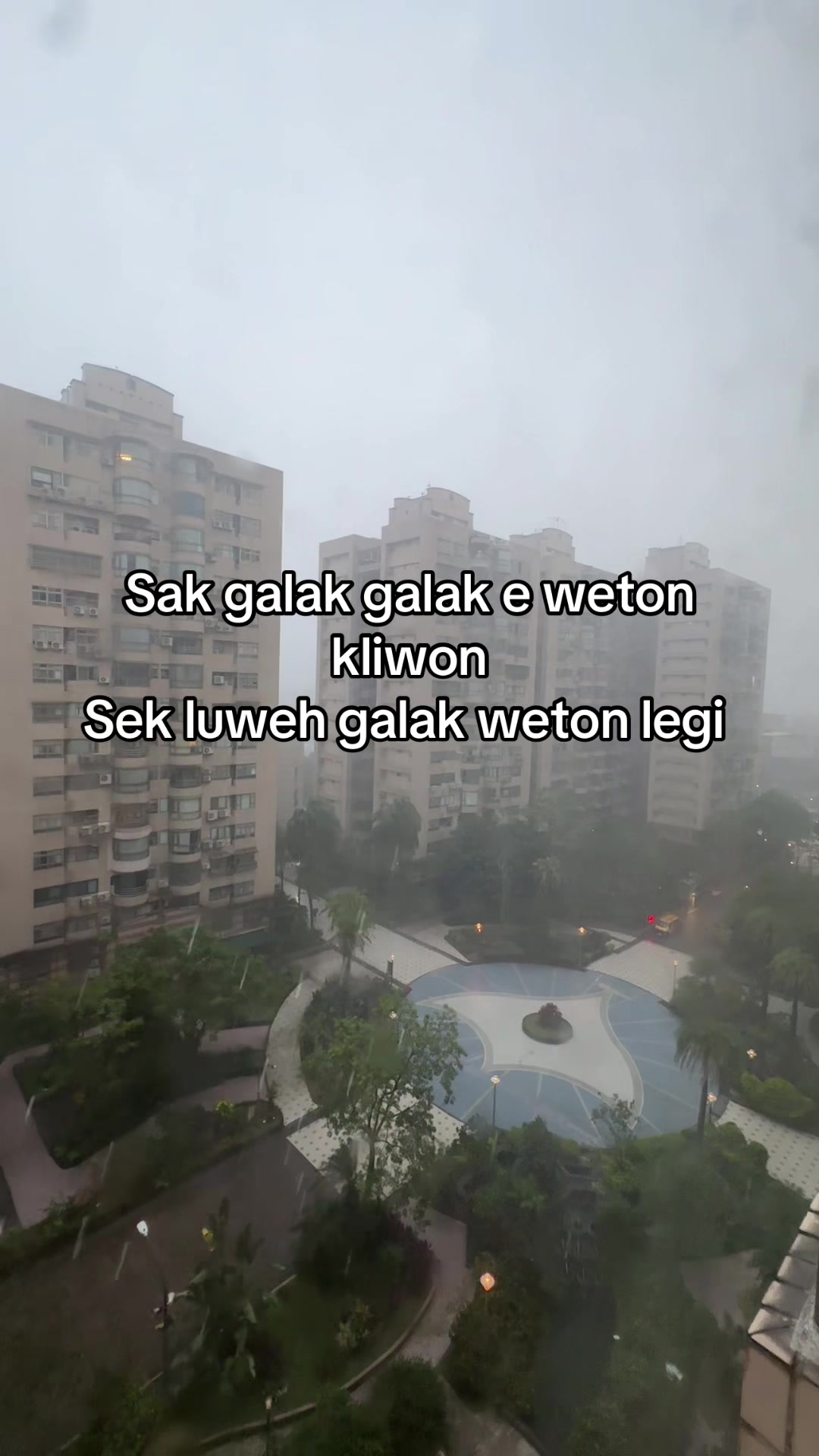 @yunidhekk