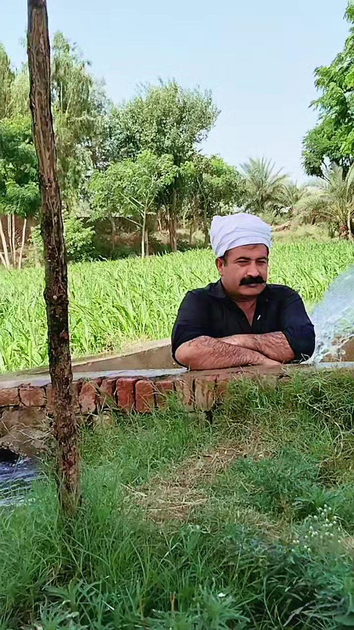 @alikhan58104539