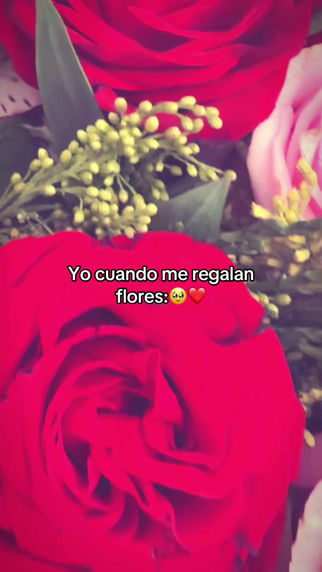 @Rod Cruz