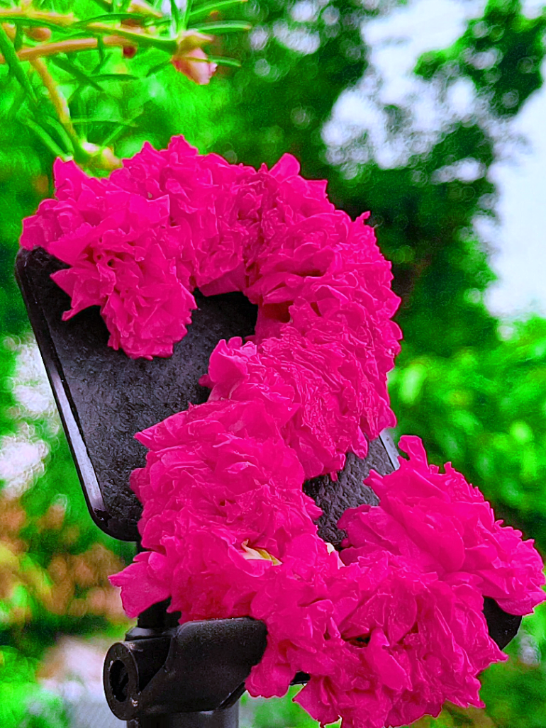 @🪺🦋বাংলার প্রকৃতি 🌾🌹