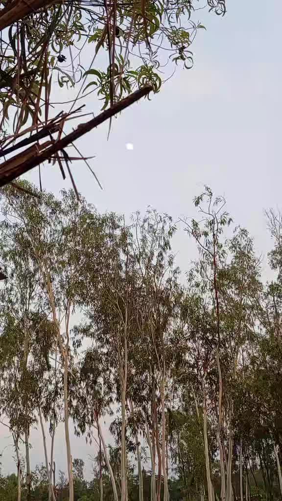 @ফুল🌸🌼