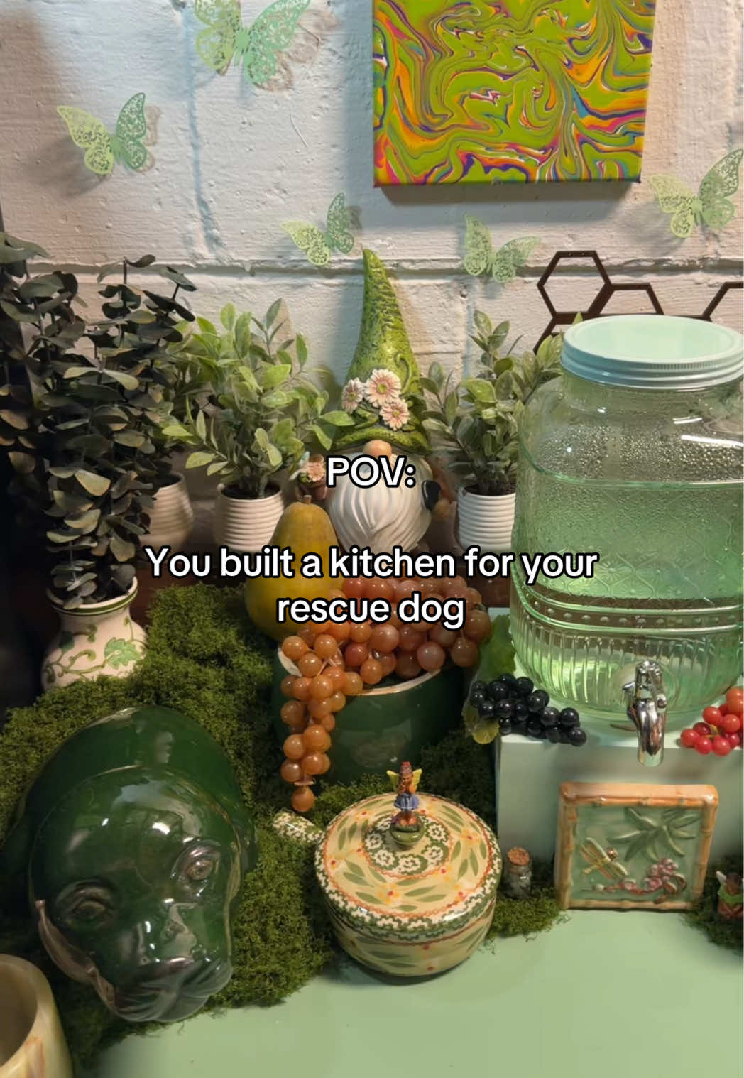 @greendogkitchen