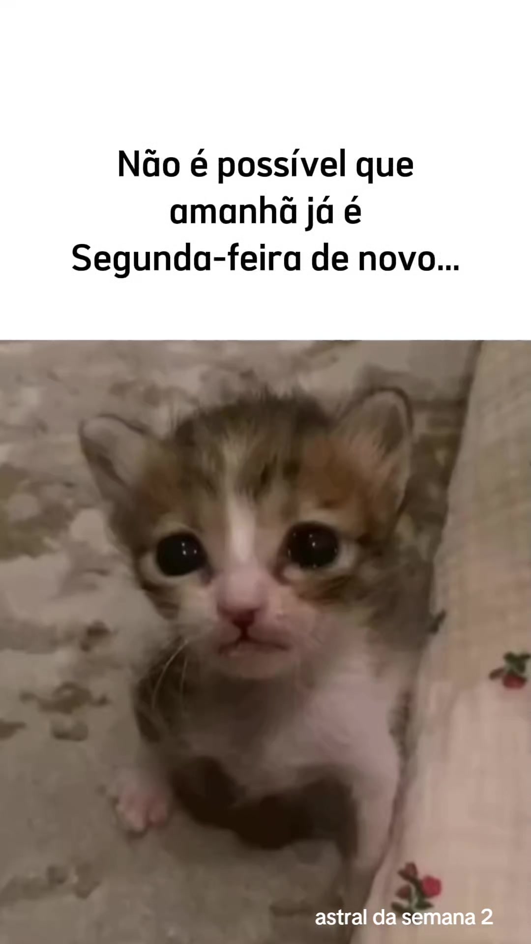 @Astral da semana 2