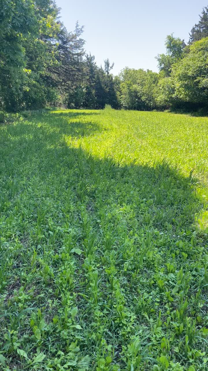 @Tactical Approach Outdoors LLC