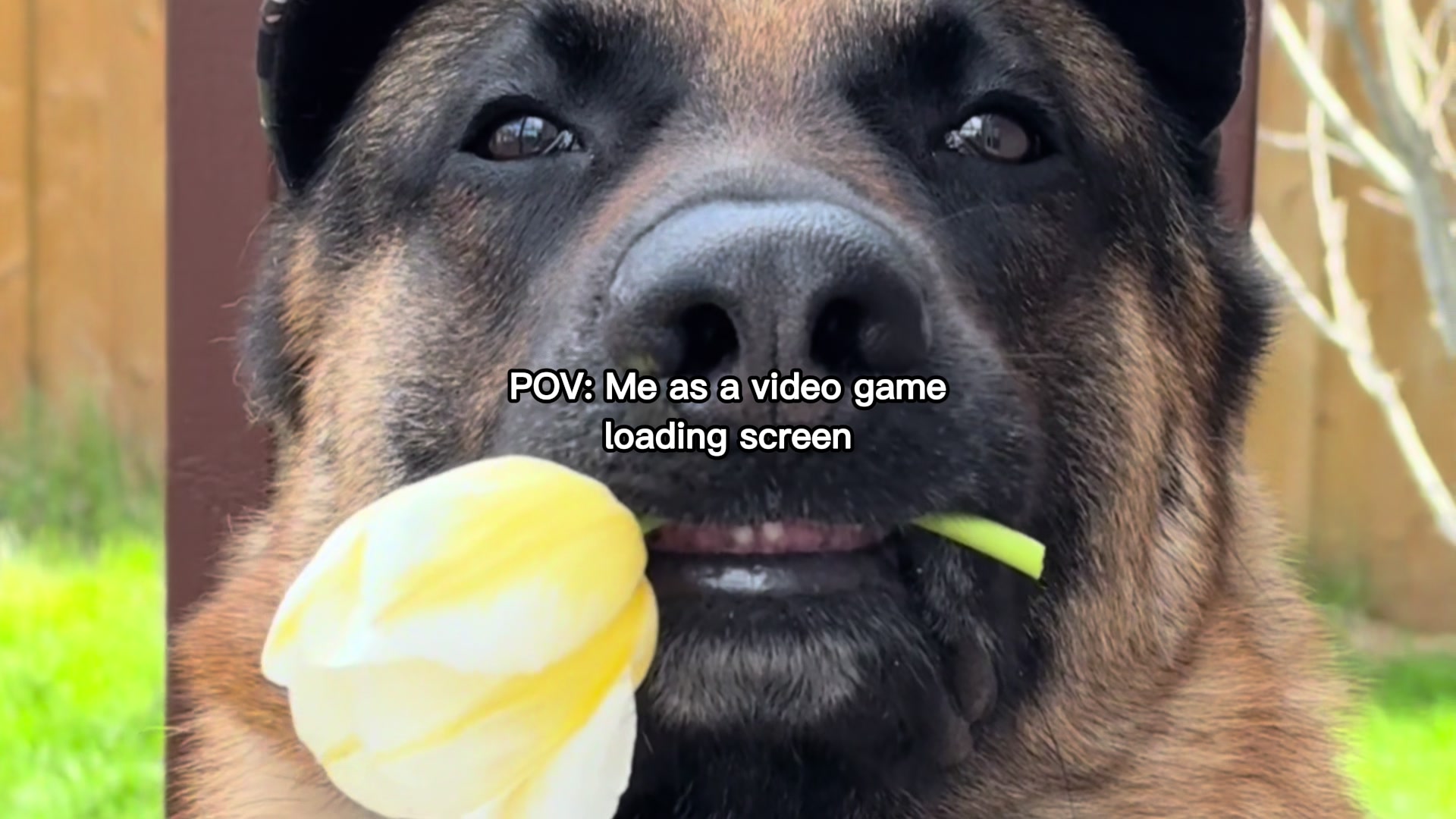 @Martygsd