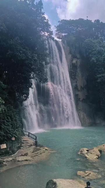 @Wang Bao (王苞)80