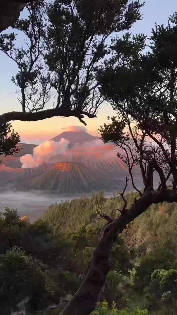 @Teguhkanhatimu