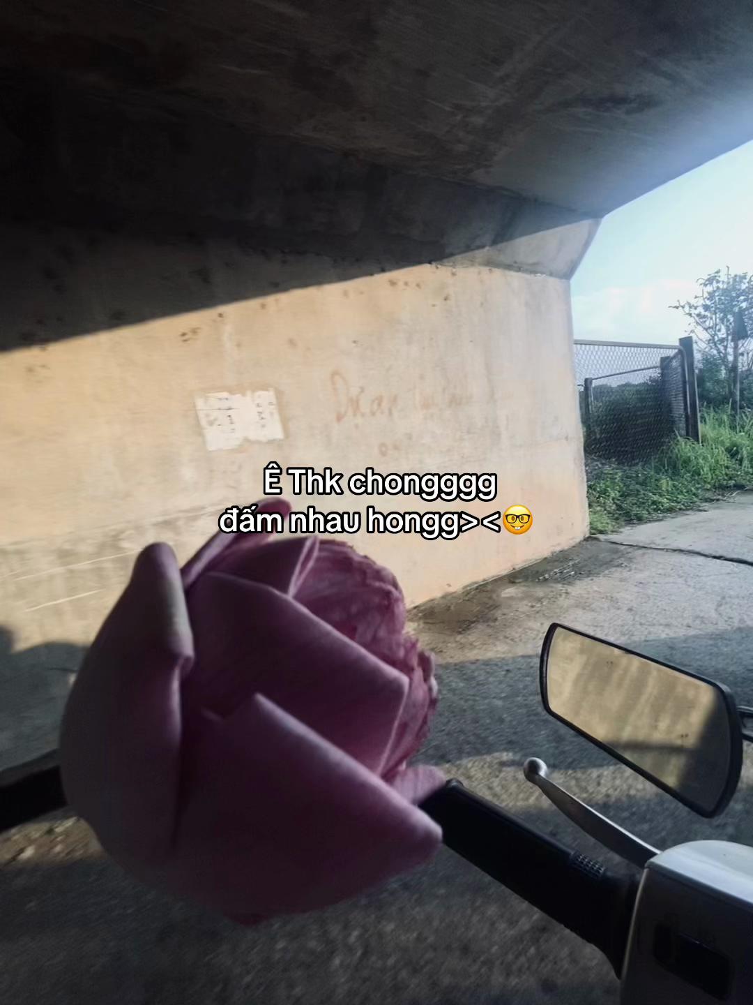 @Le Thi Như Quynh