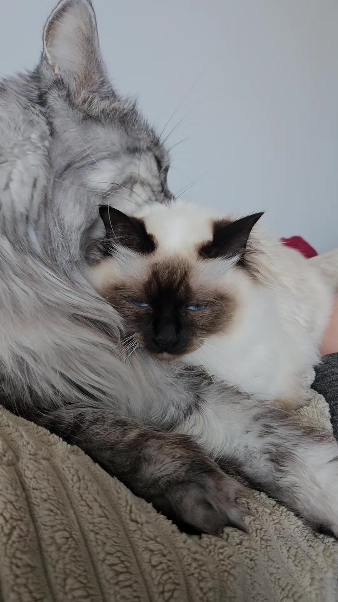 @L&eacute;o & Suki &hearts;️