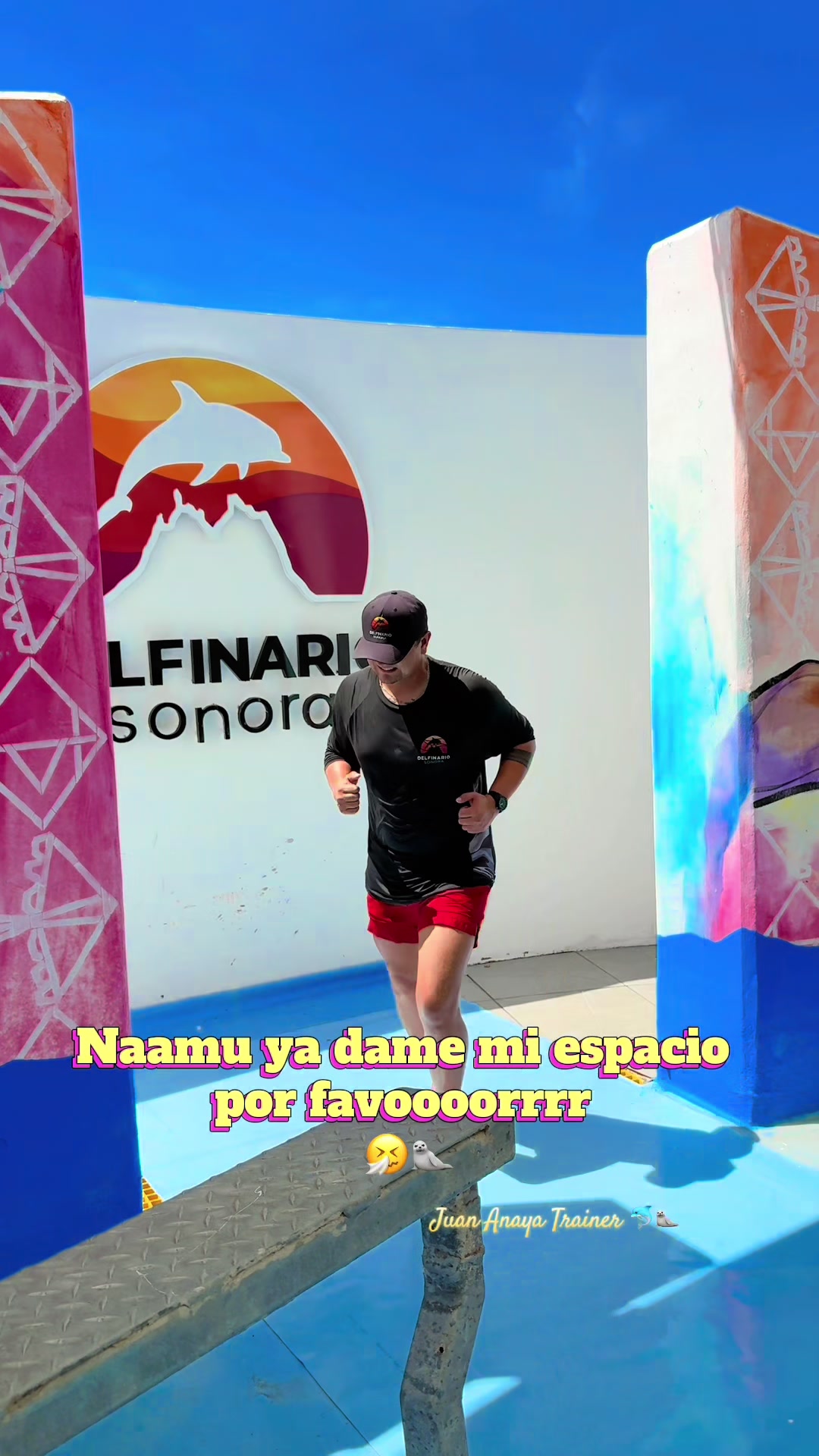 @Juan Anaya Trainer 🐬🦭