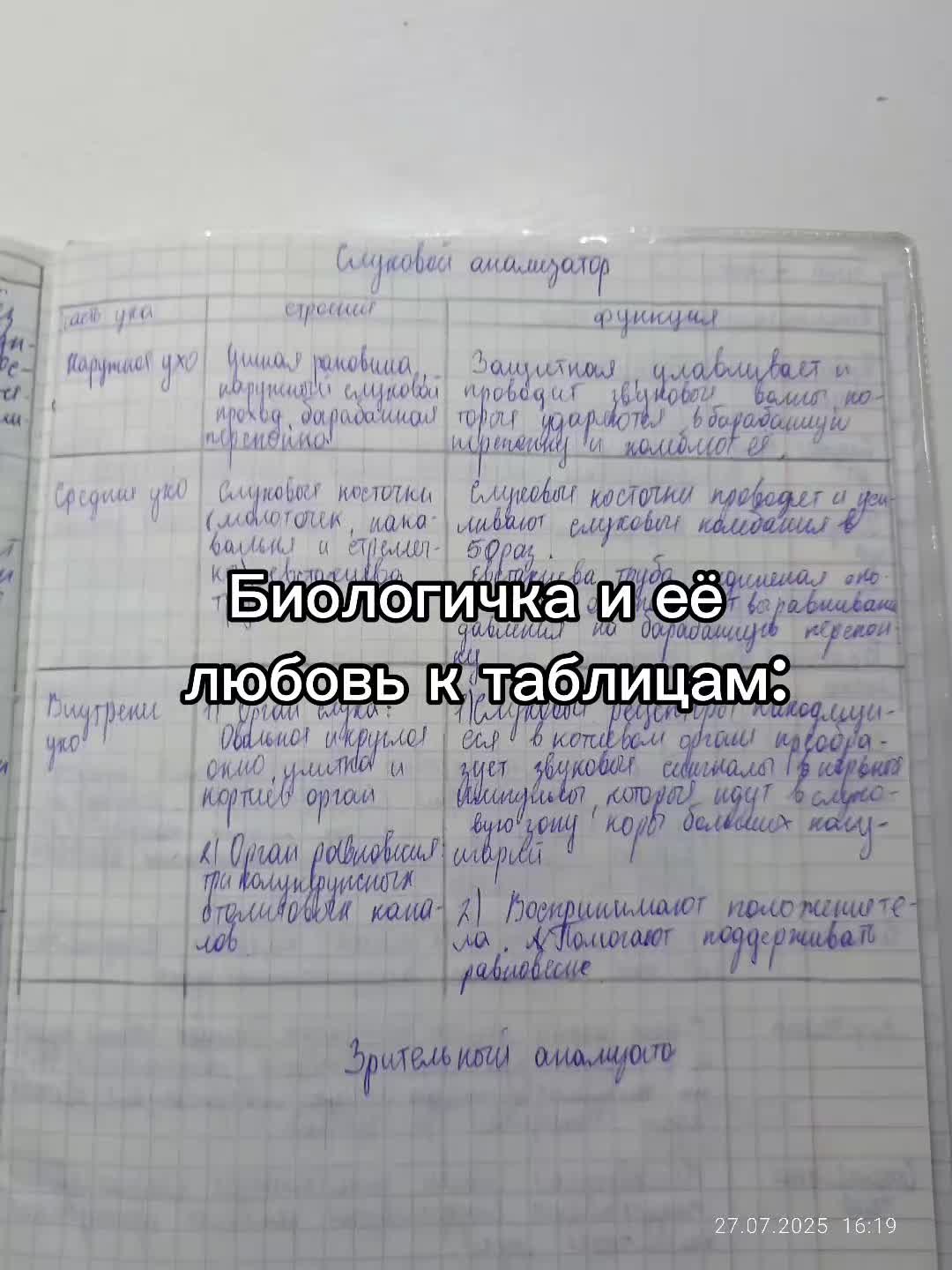 @ксю