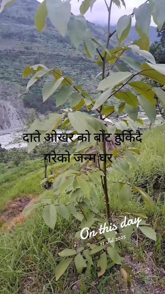@singhpriya@007