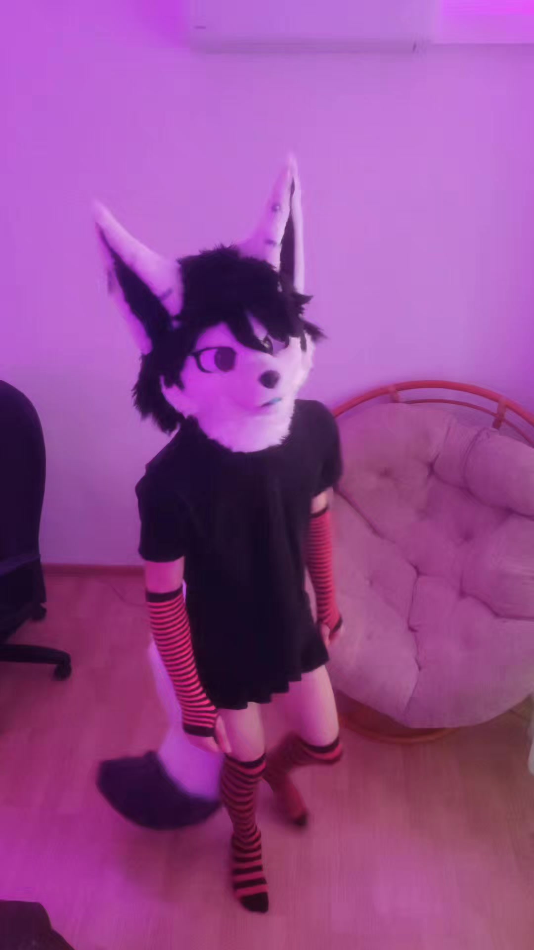 @PHAYCON