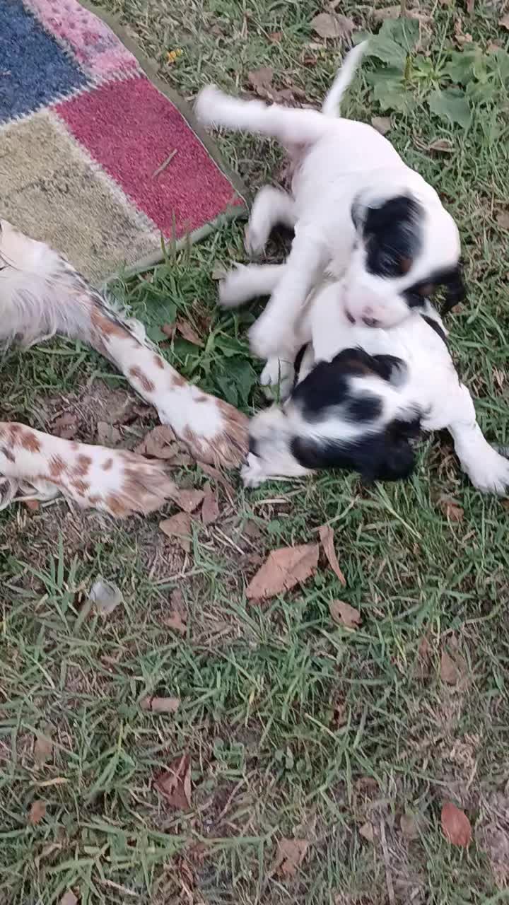 @Ercan Ekinci55