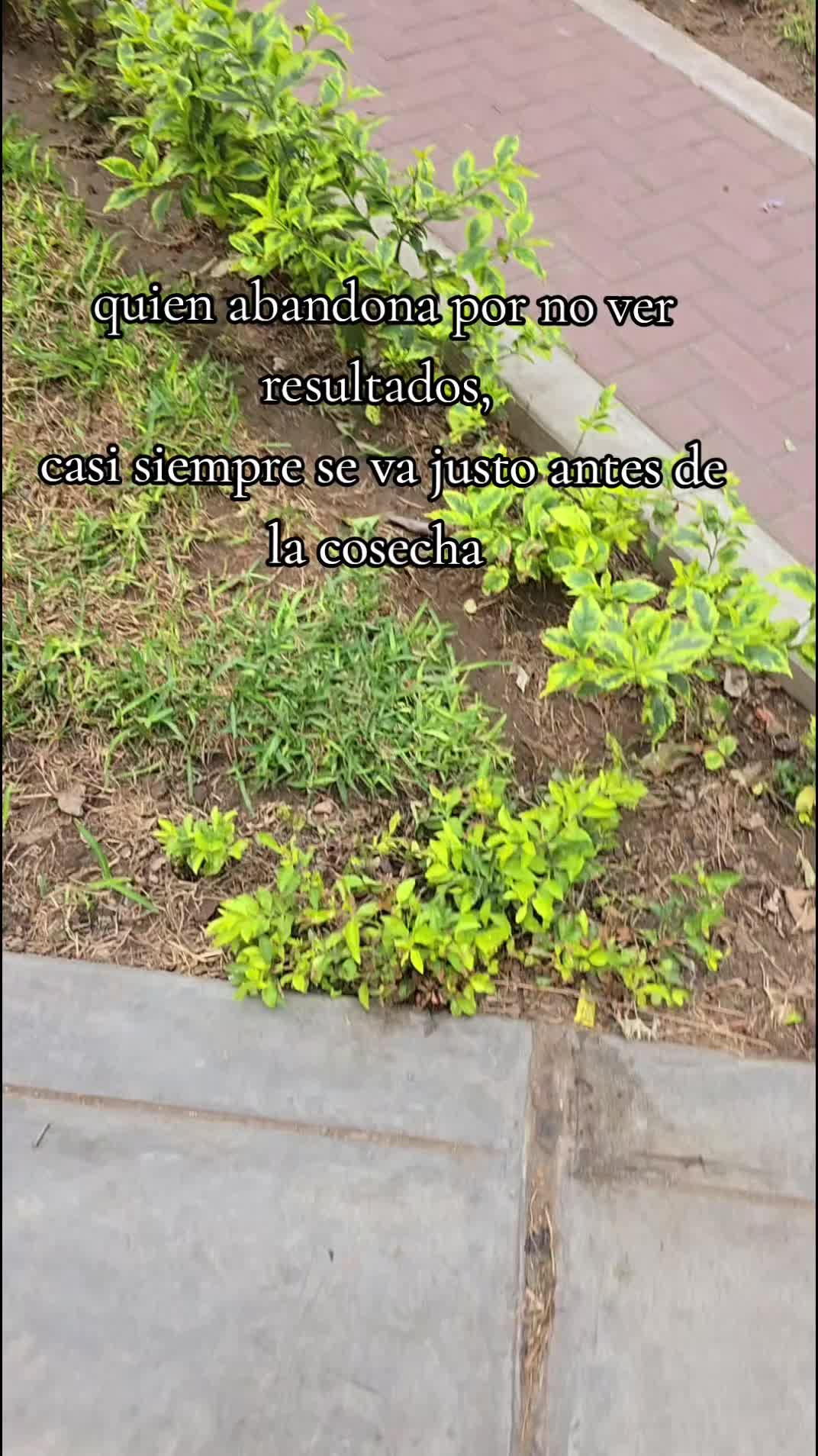 @Jorge Luis Bustos
