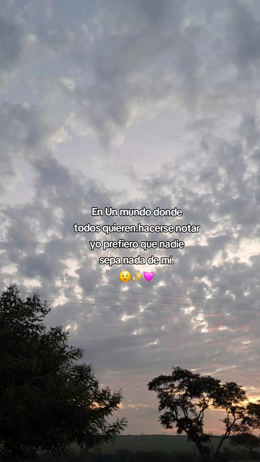 @Rossy🧃✨