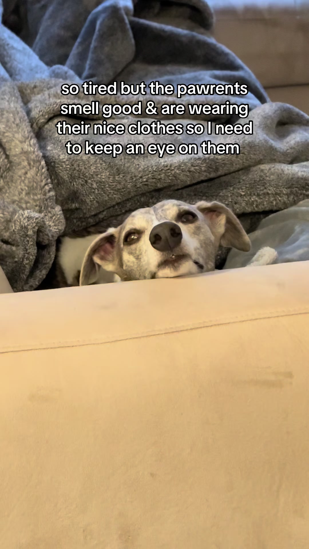 @Kayce Dog🤪🩷