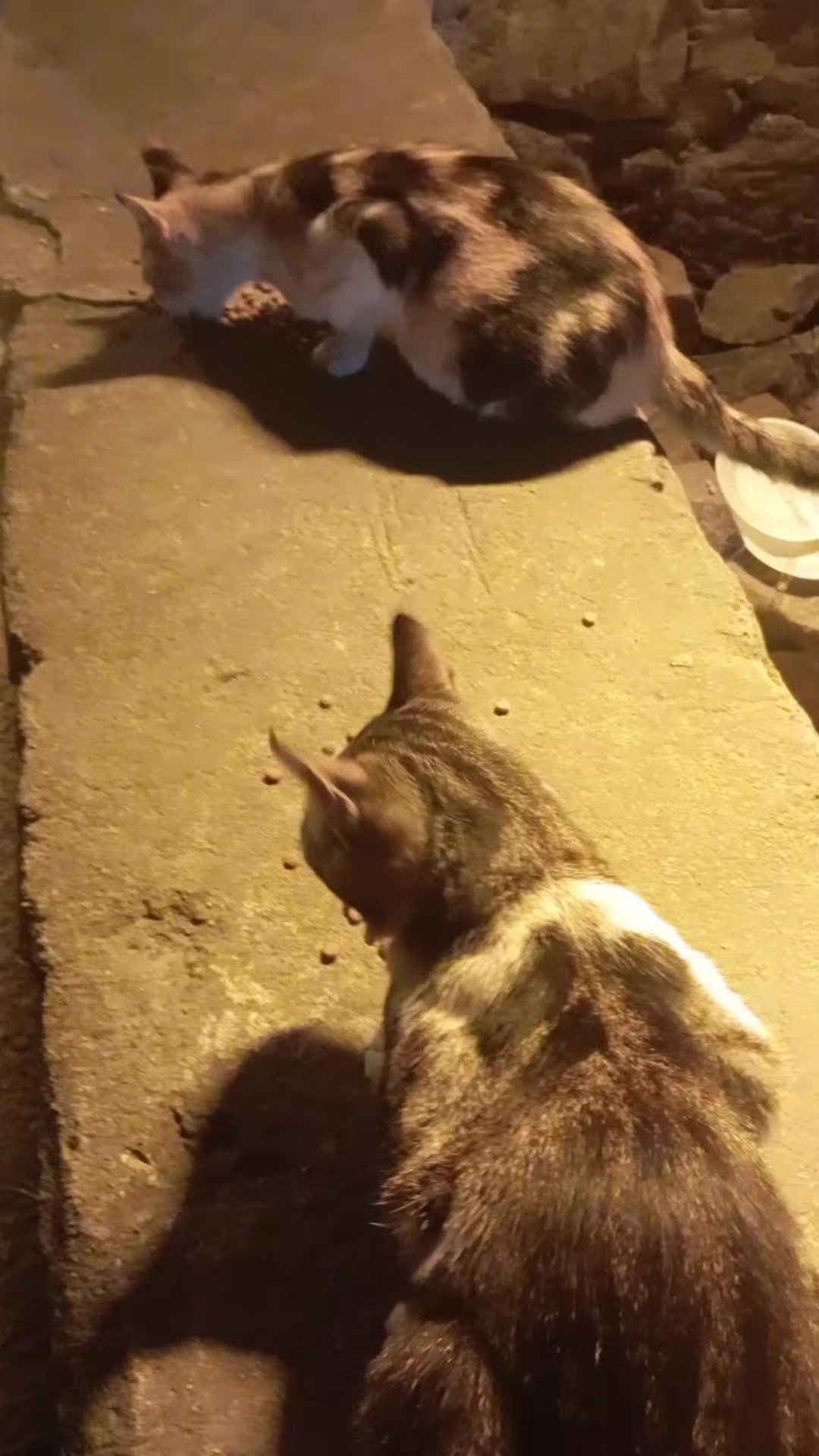 @çamur