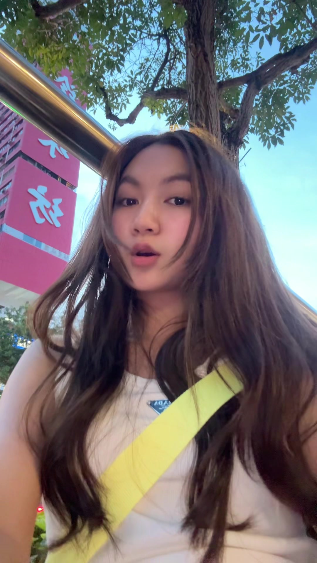 @sereypichlim