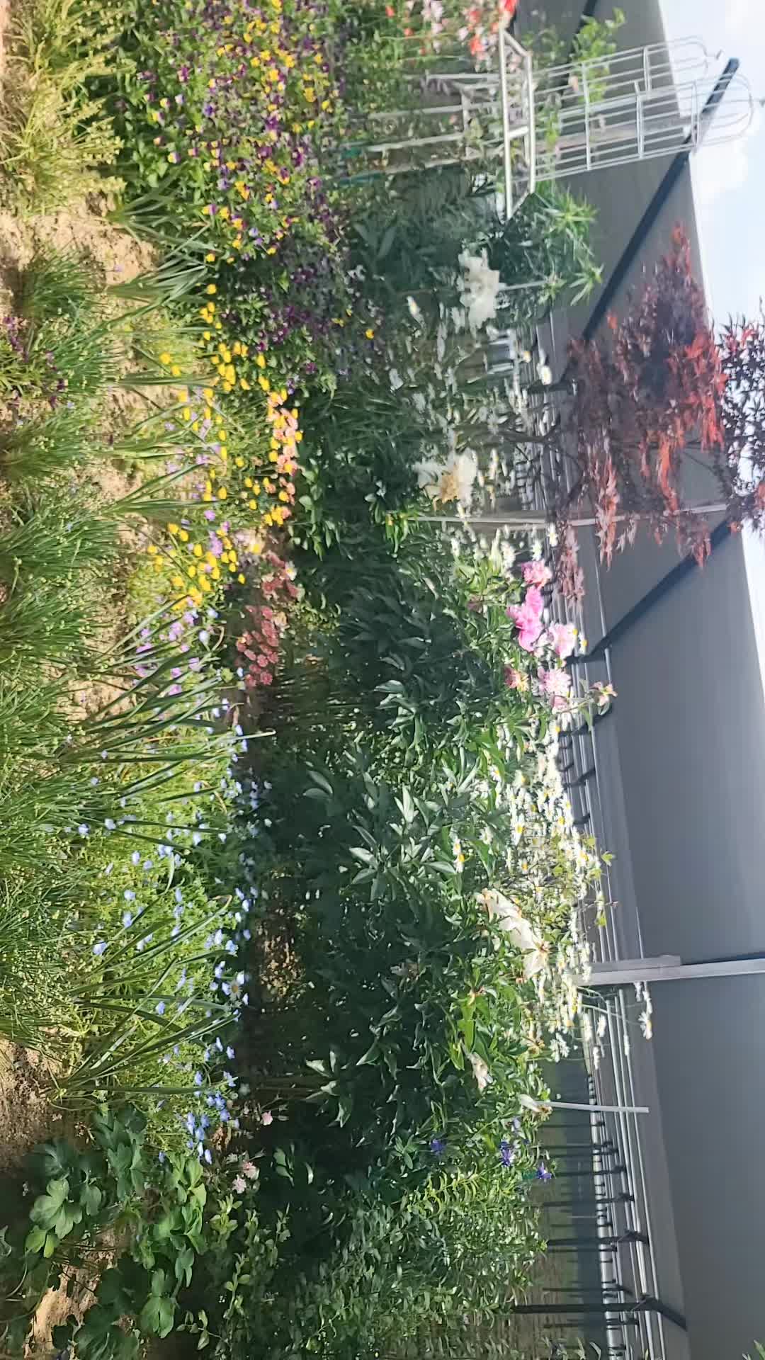 @꺼벙이