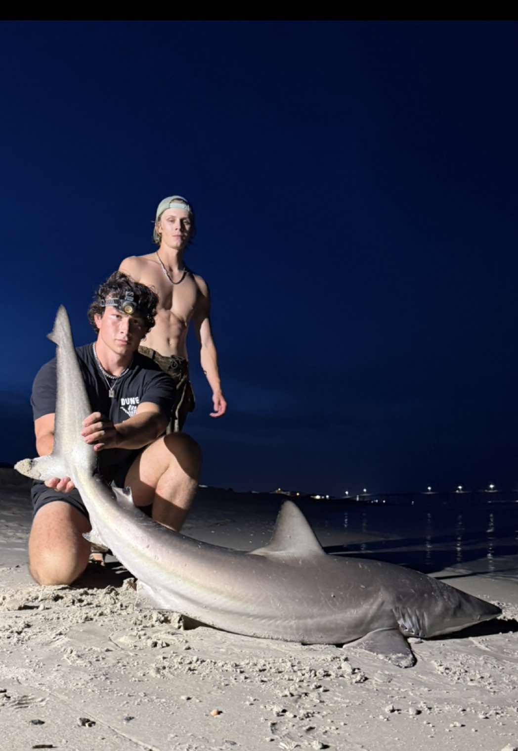 @ILM Shark Club