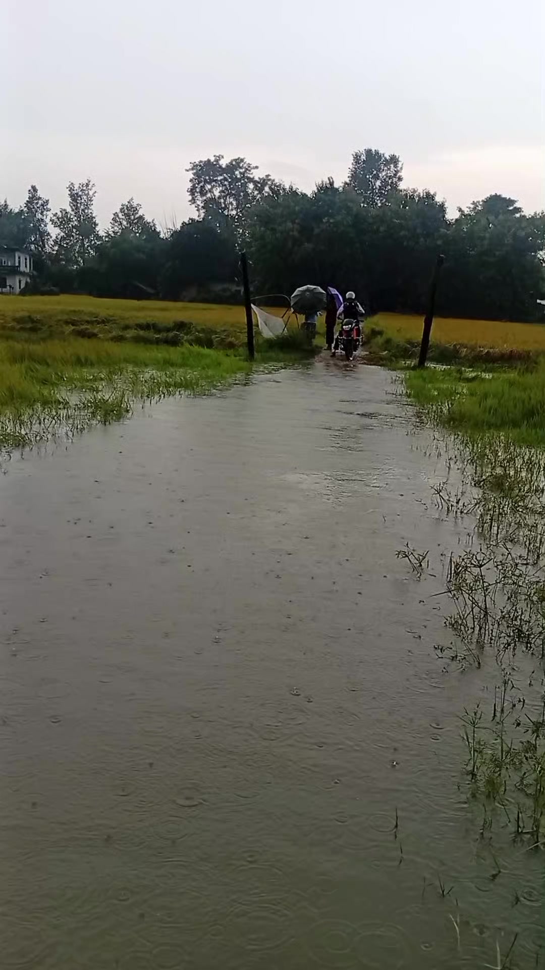 @जगदीश अनिता दिप्सन