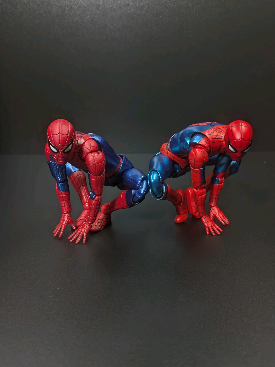 @Webs & Stands