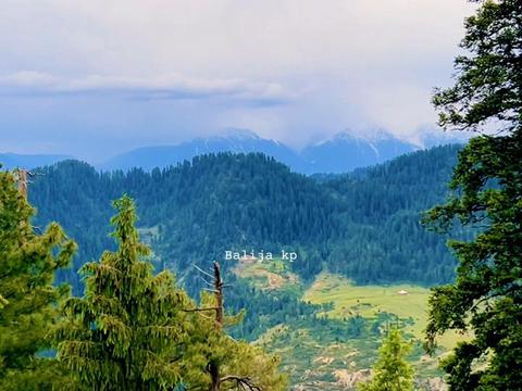 @🌳balijakpkohistan55055🌳