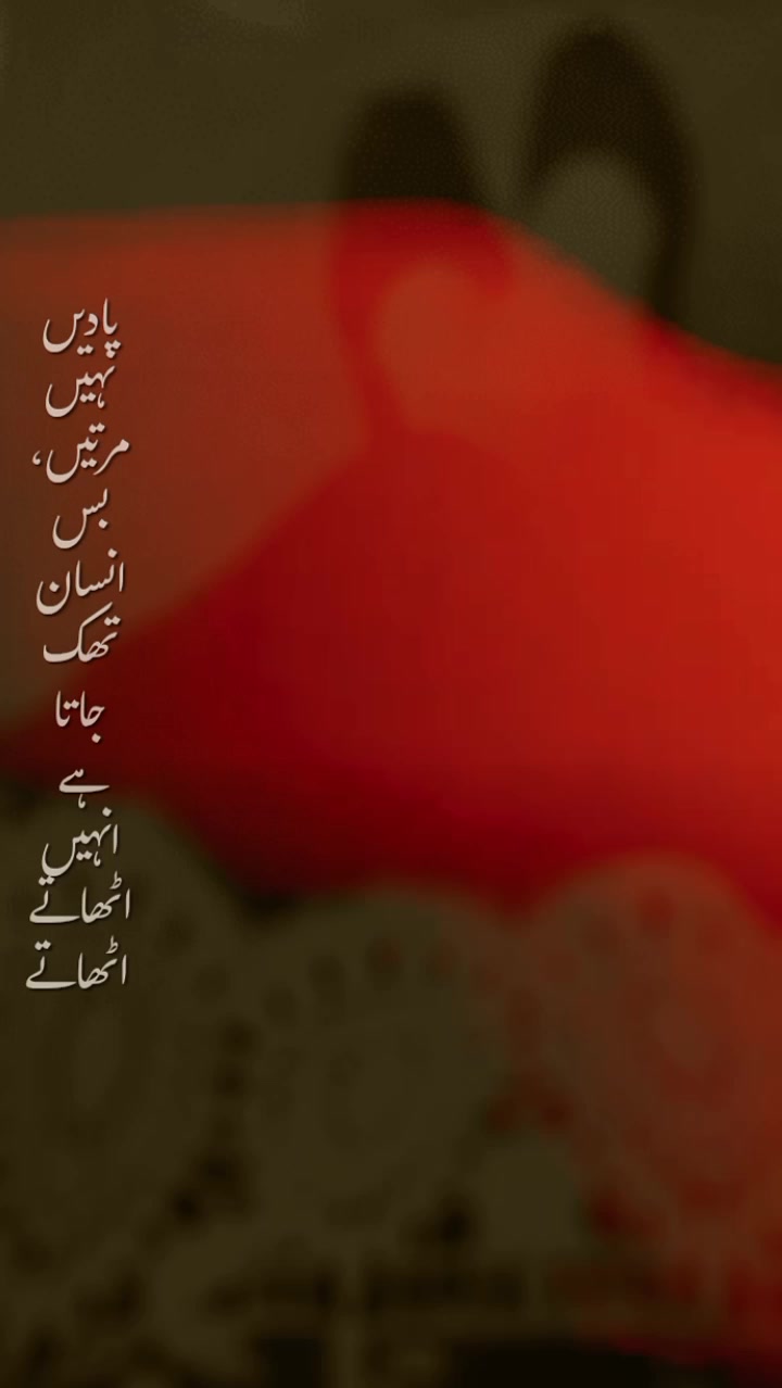 @đâđ٨Ů٨ŮA٨Ů٨Ůđâđ