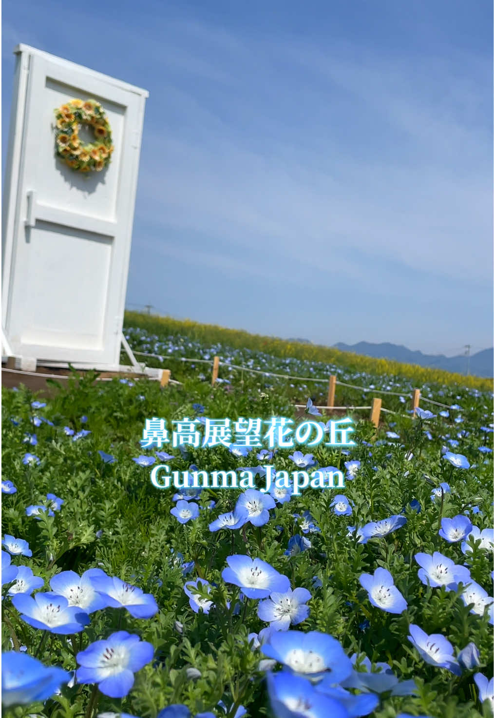 @paぱぱすtyle