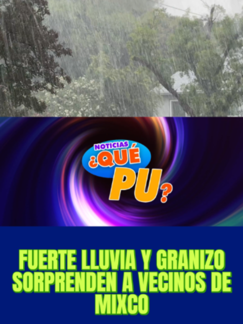 @Que Pu