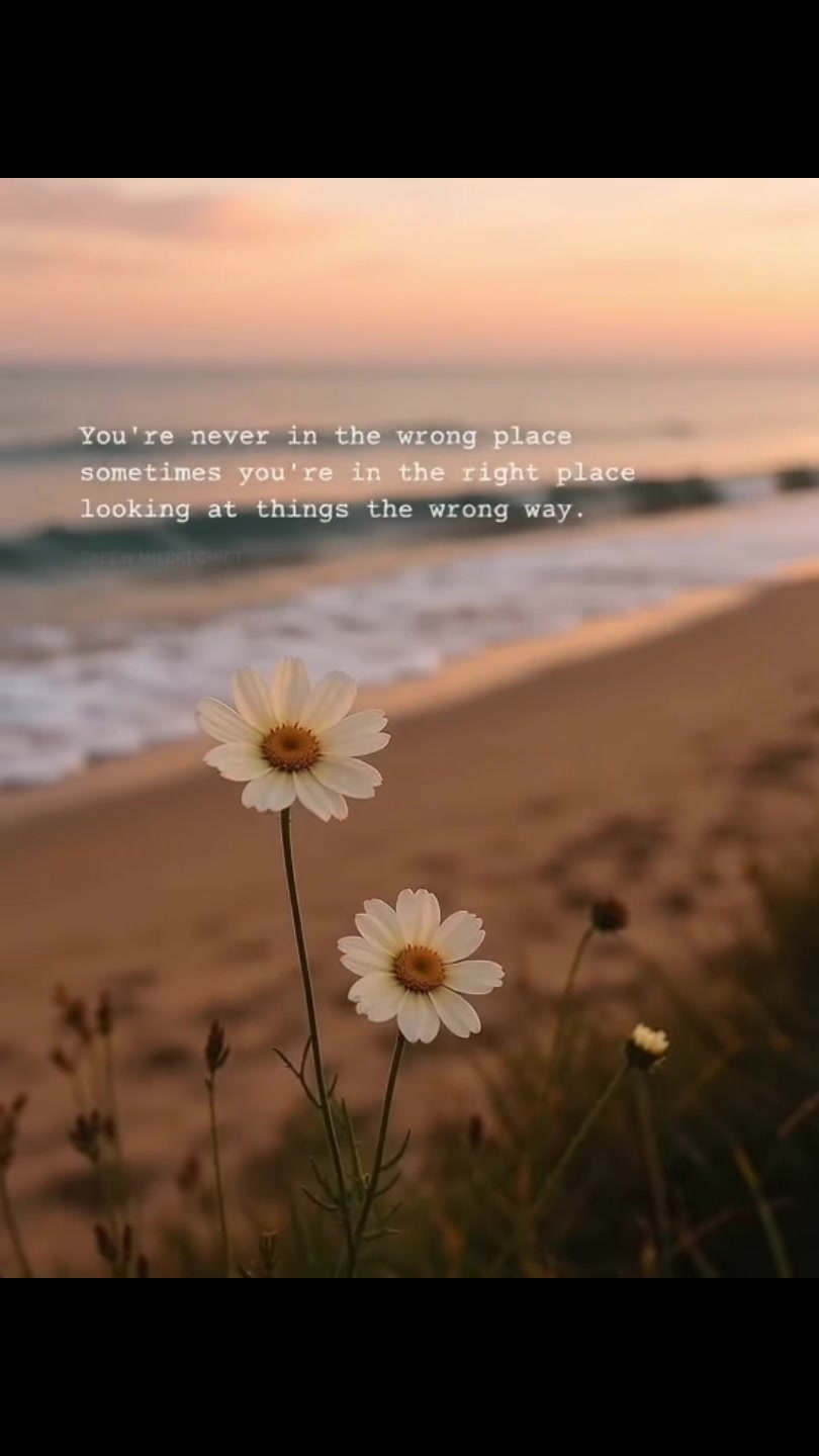 @HeavyHeartQuotes