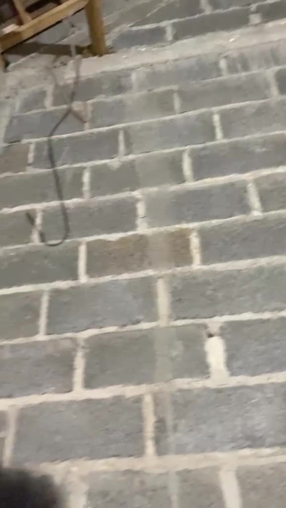 @Alvnsyh