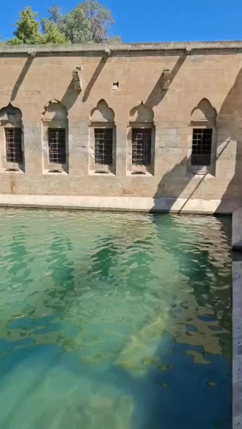 @Fahriye Güel