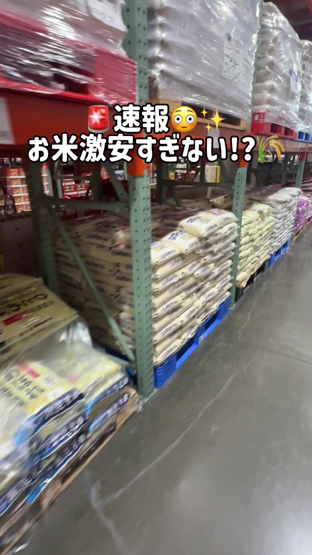 @毎日コストコに通う主婦🥤てこ