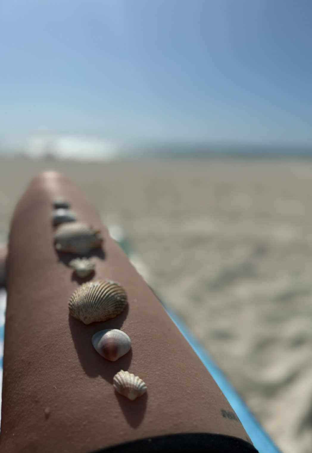@amanda🐚🌊