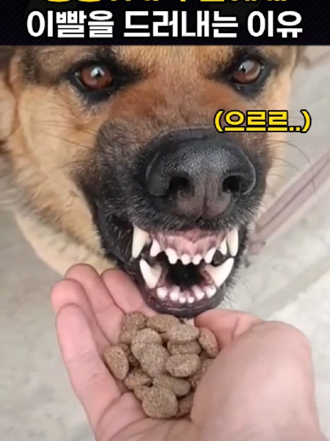 @개블리