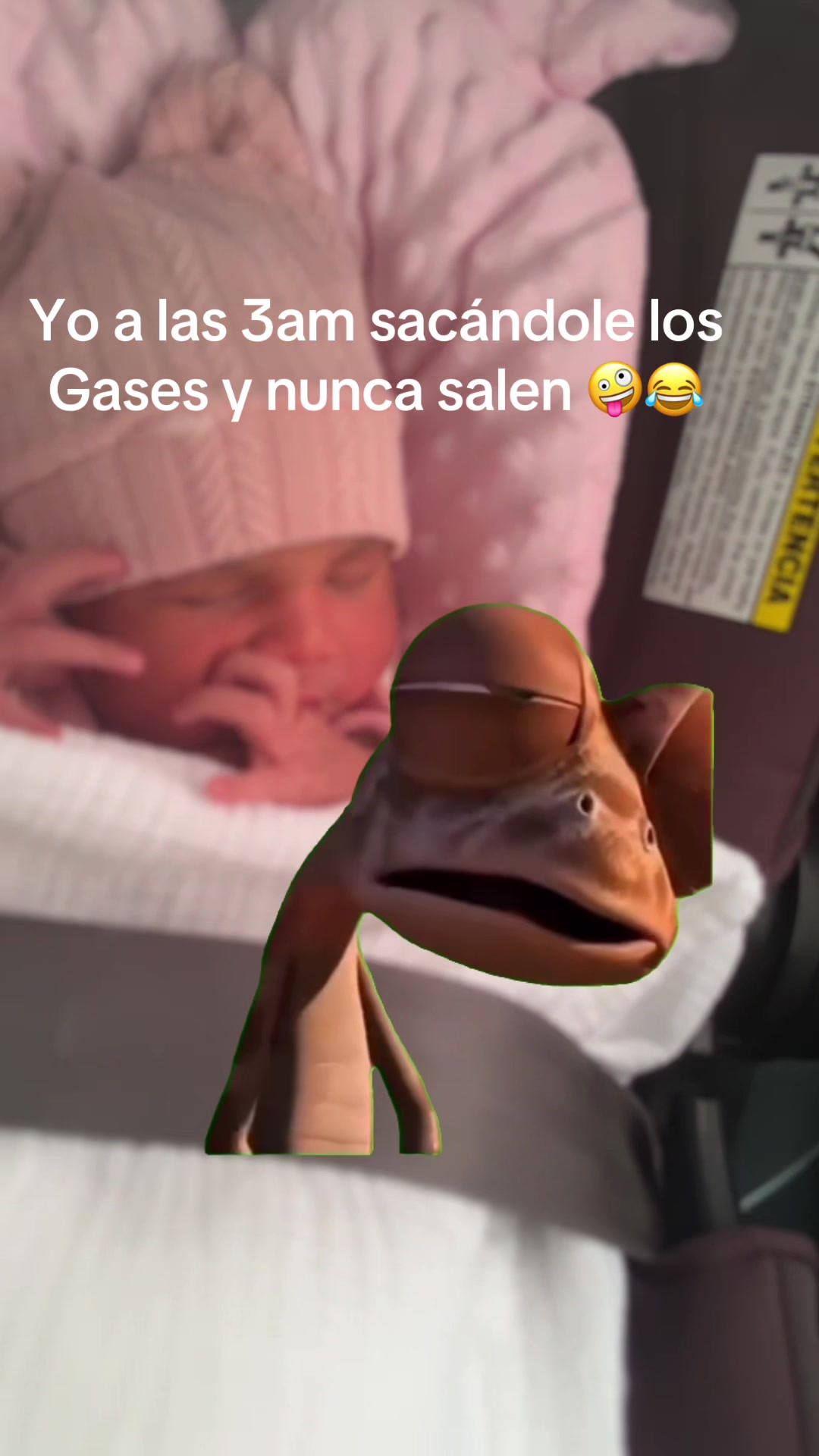 @Vanessa Camacho