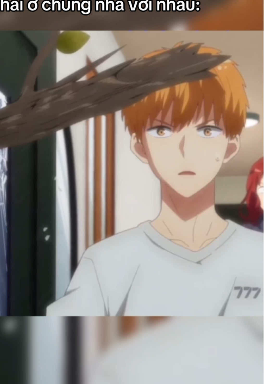 @babieshoujo