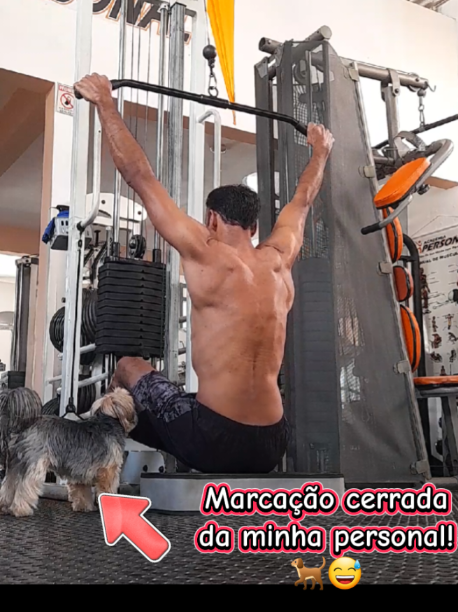 @Alcimar de Souza Rocha