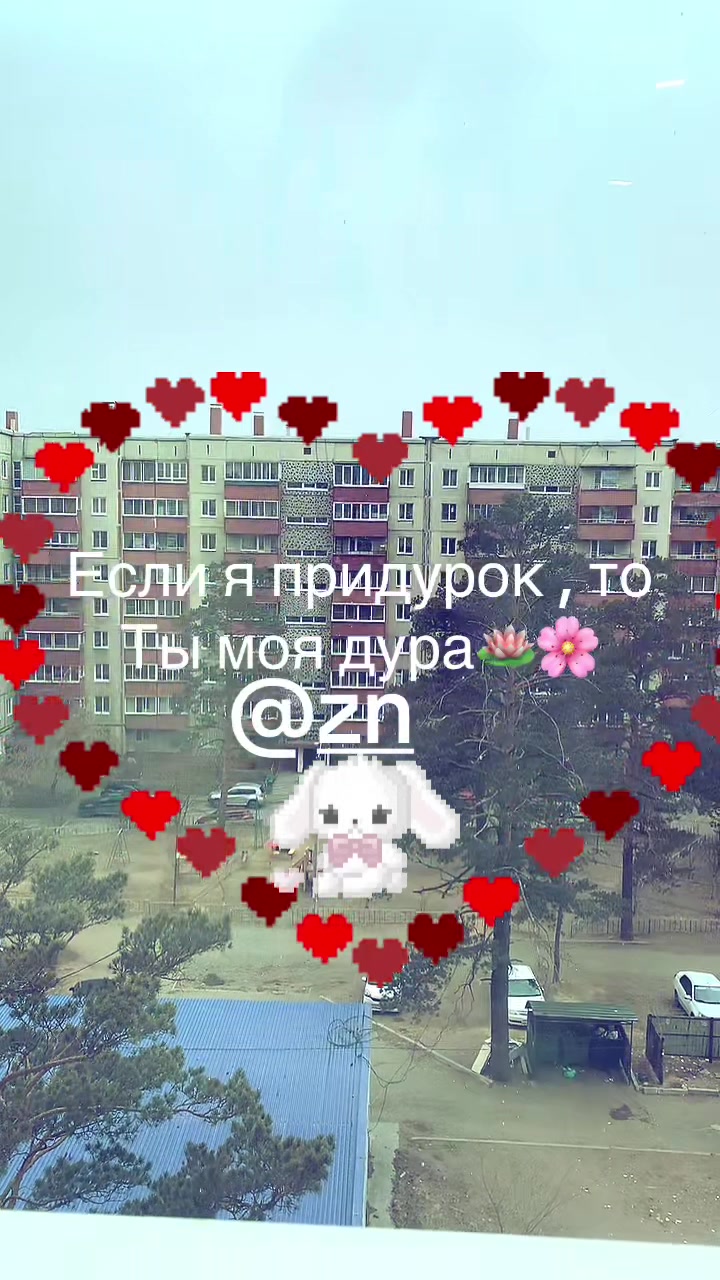 @Son^k🦅