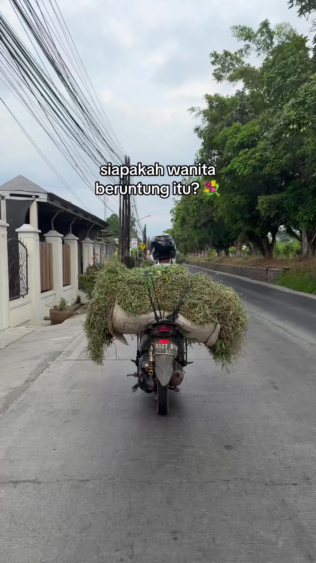 @Purbalingga