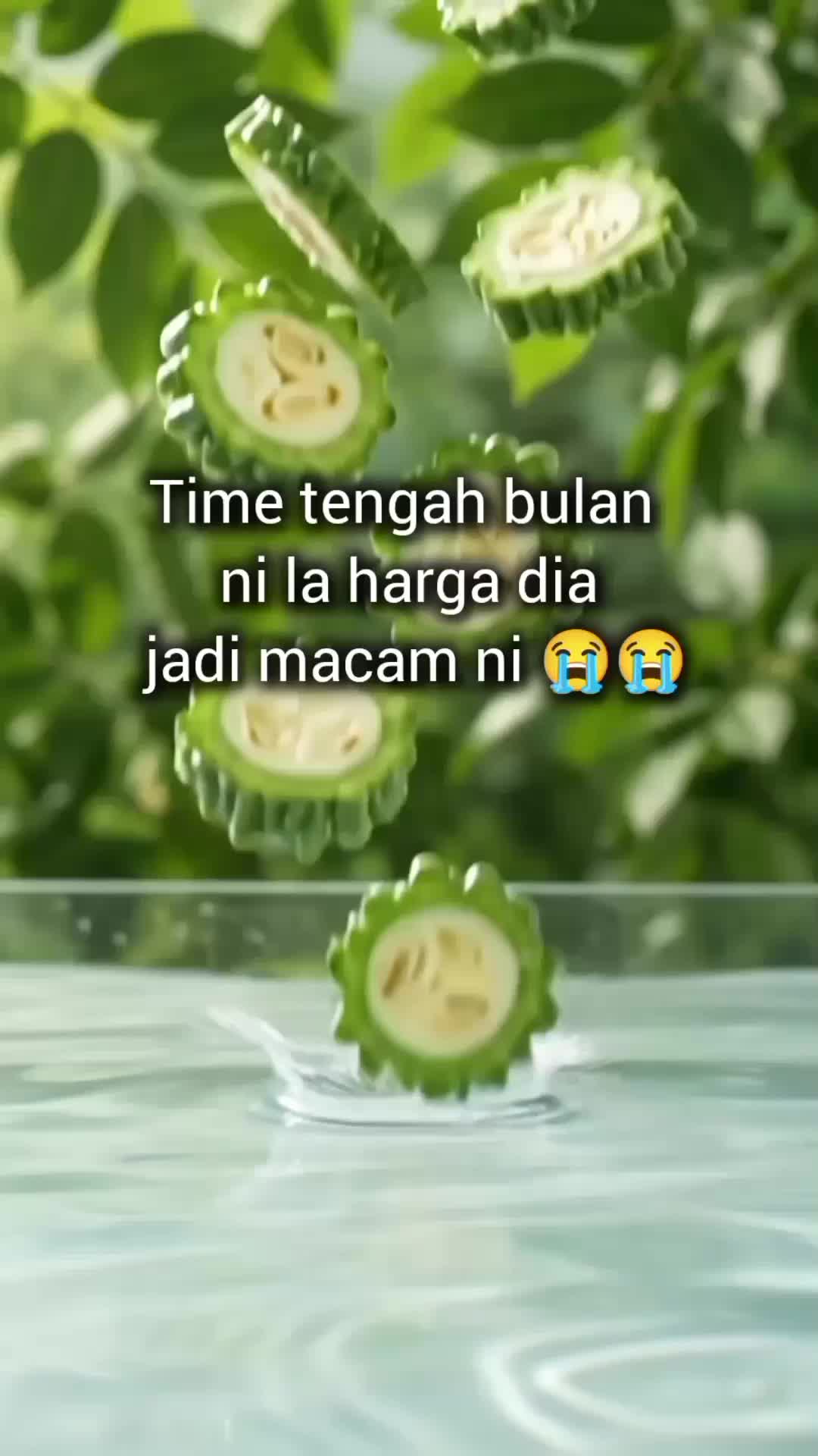 @DyzMayaHanz47