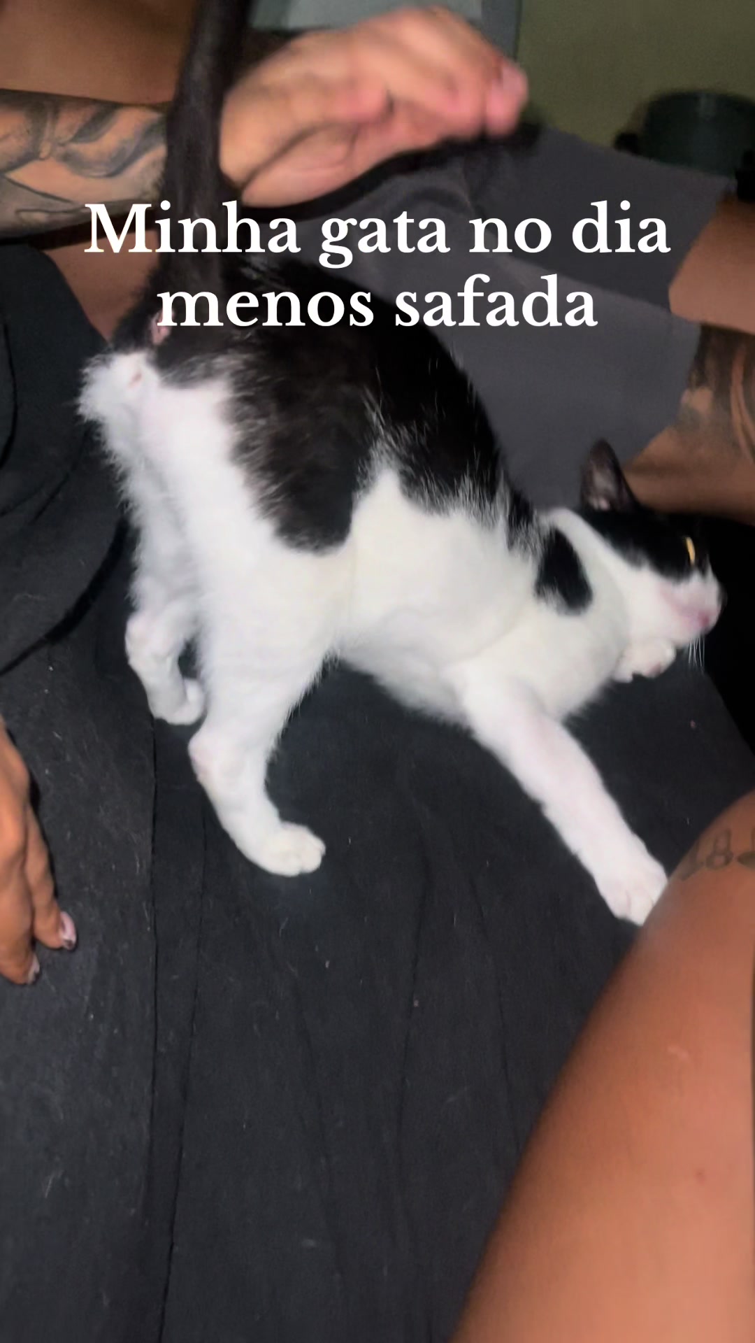 @iasmim