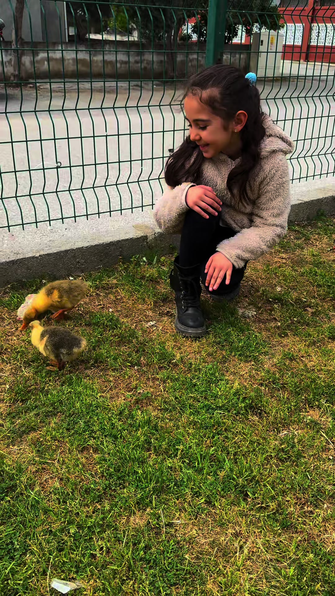 @🐥CANSEL🐥