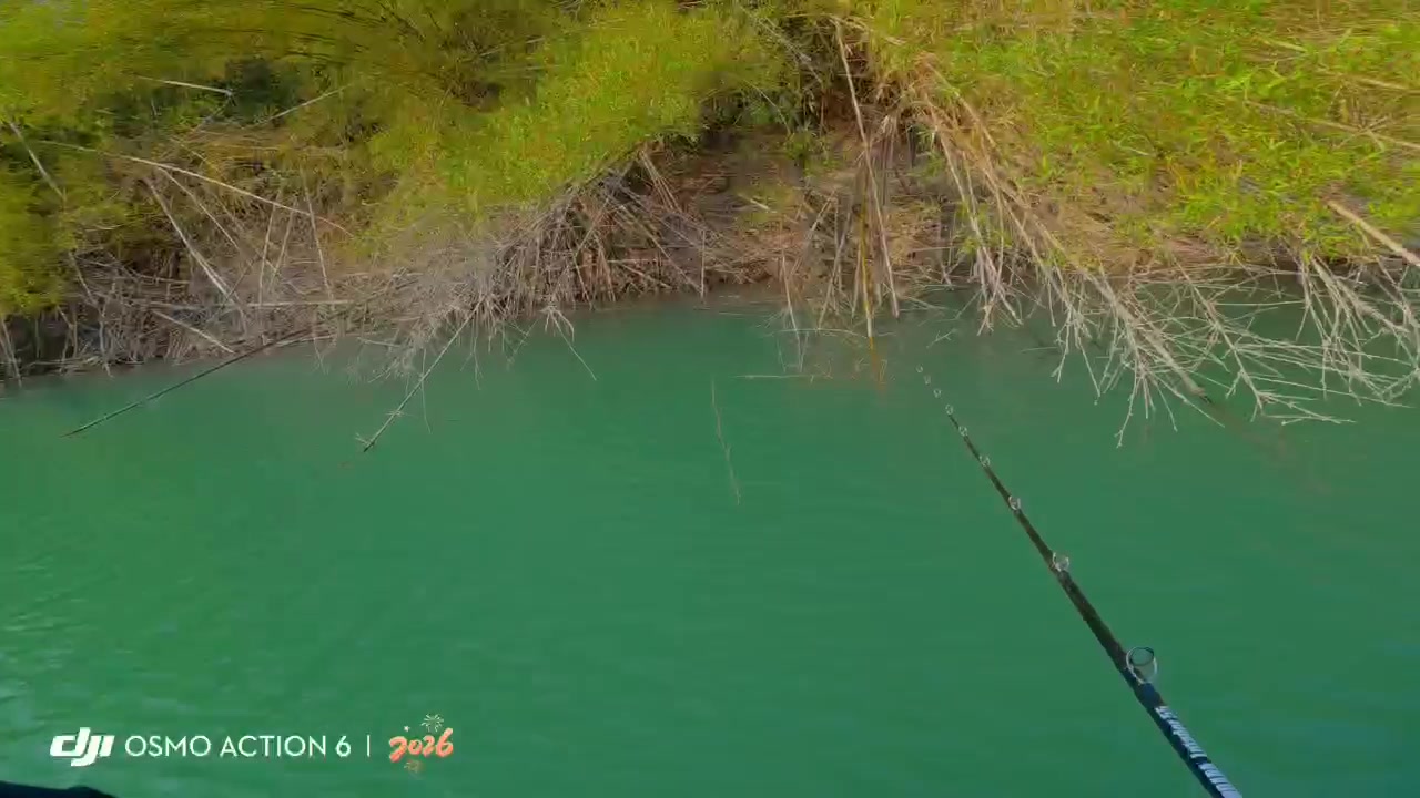 @小鴨鴨🛰️