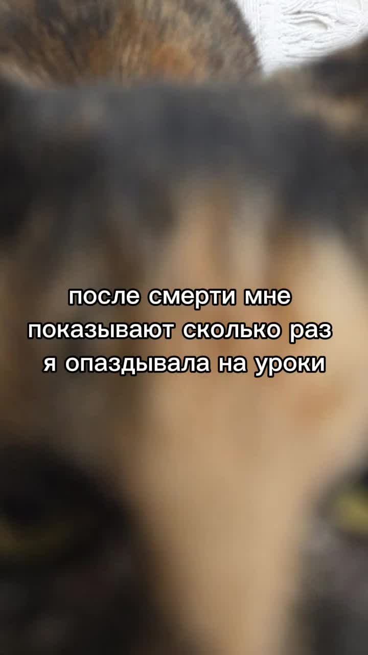 @₭Ł ዪጠ ቿ :з҉