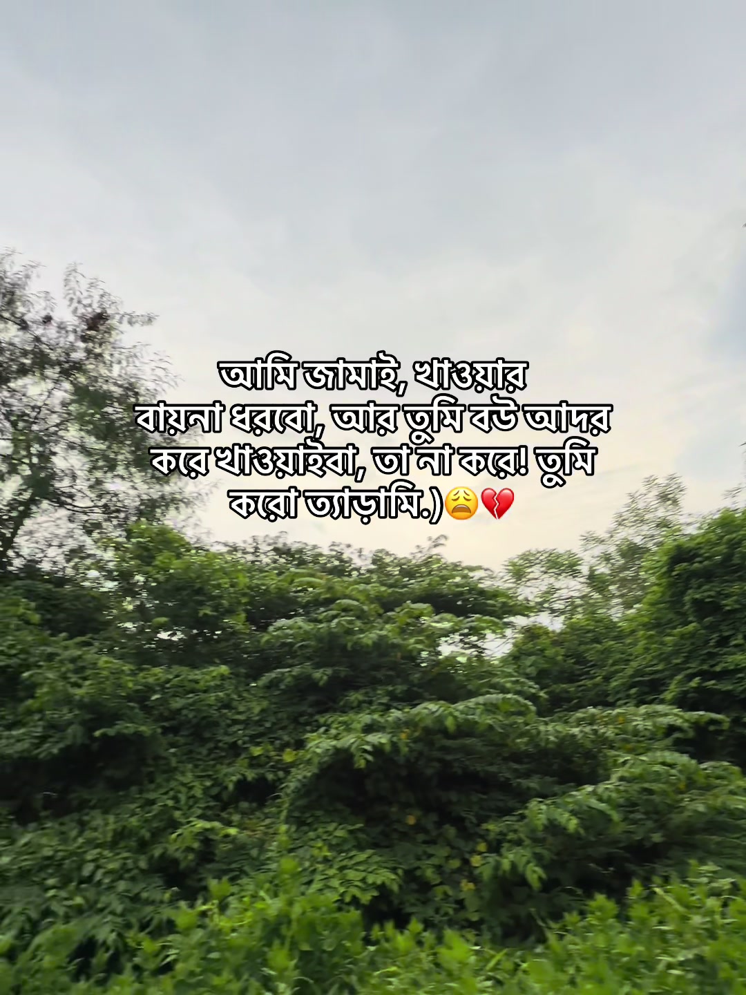 @❏ 𝗔𝗙𝗝𝗔𝗟'🐼