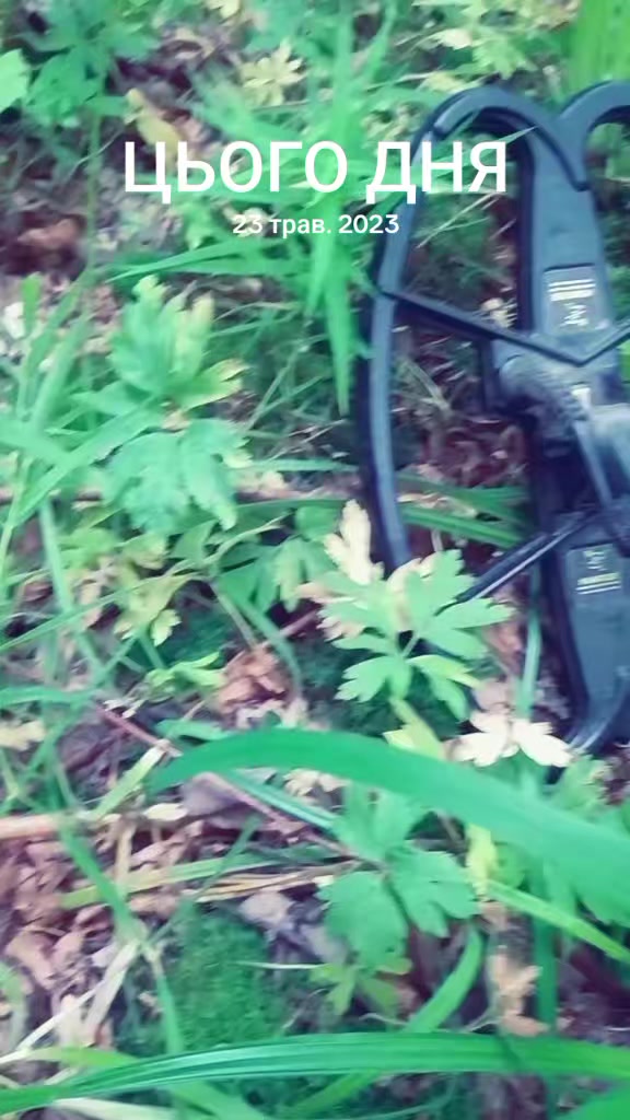 @Маківка-Броди