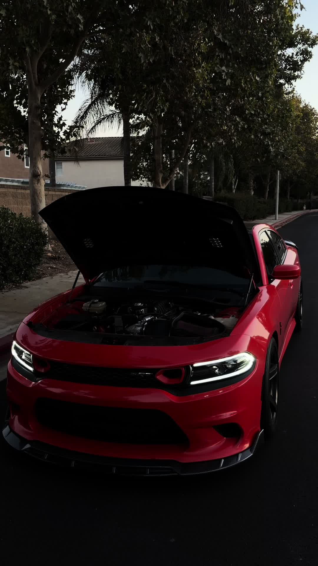 @srtsharm